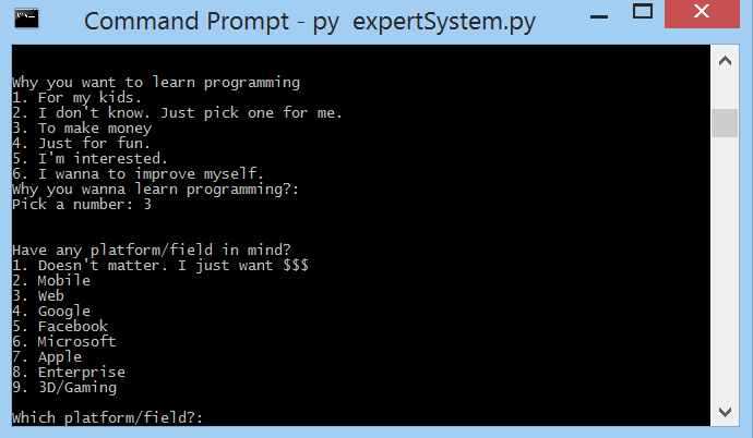 During program execution